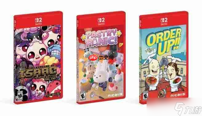 不是钥匙卡  《以撒的结合 忏悔 》Switch2版明年第一季度发布