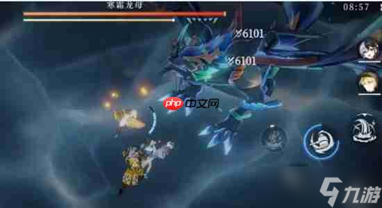 輝燼寒霜龍母打法指南