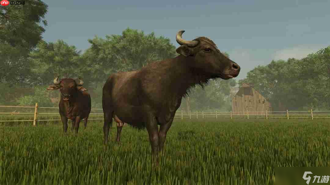 《Farming Simulator: Signature Edition》官网上线!