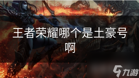 王者榮耀哪個是土豪號啊