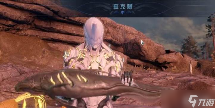 星际战甲夜灵平原玩法