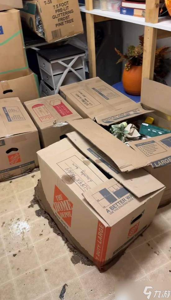 污水突襲致寶可夢(mèng)卡牌收藏盡毀