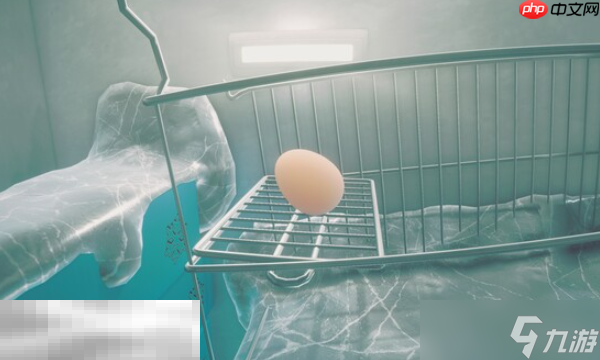 鸡蛋历险记兑换码是什么 鸡蛋历险记Egging On兑换码大全