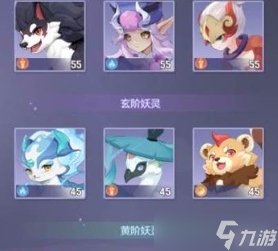 长安幻想69普陀宠物