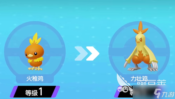 宝可梦大集结火焰鸡一套秒人流搭配 宝可梦大集结火焰鸡最强实战技巧