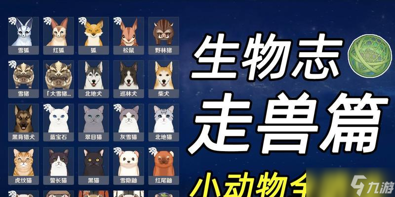 原神柴犬鑒（玩家必讀）