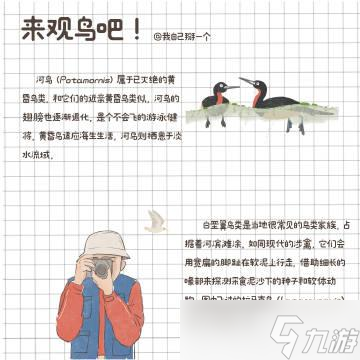 黃雀游戲攻略詳細,黃雀游戲攻略詳細指南