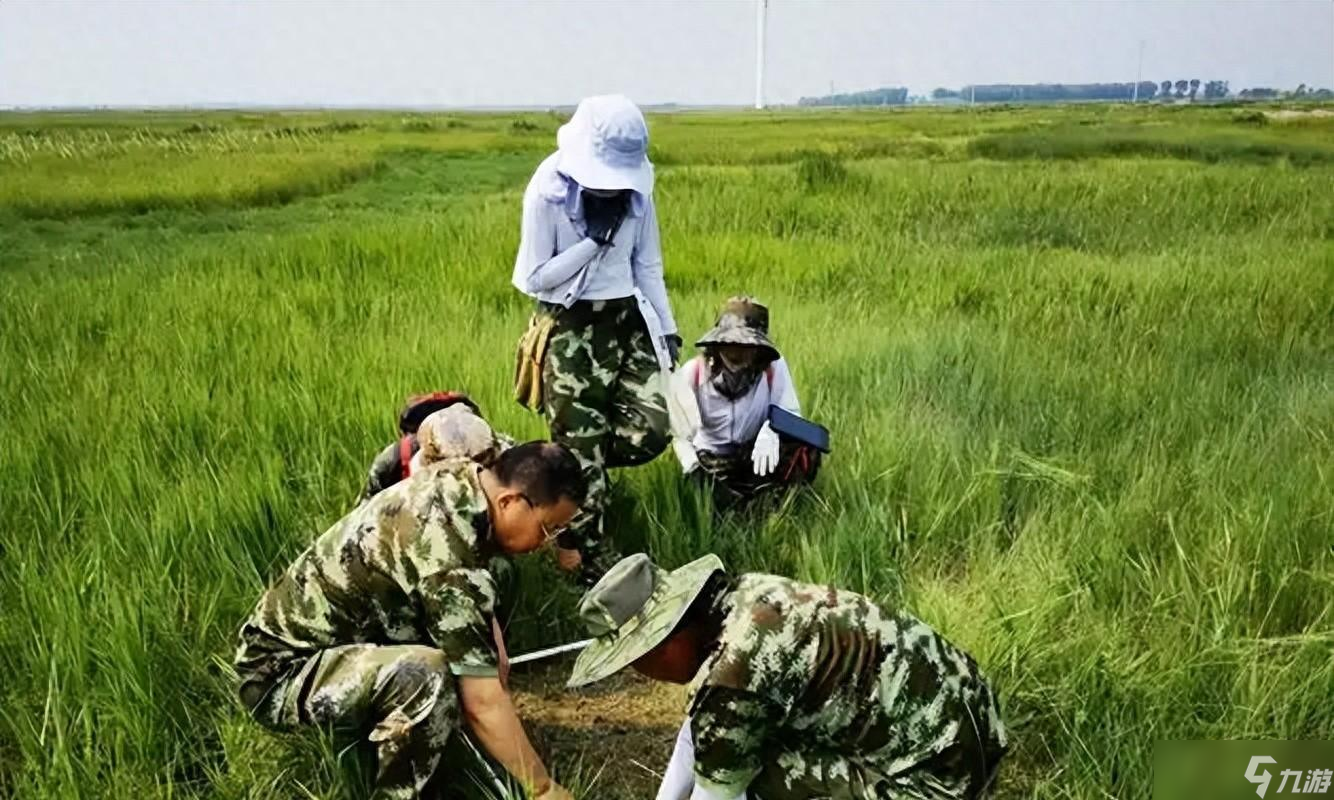 當?shù)貎H1人種植 專家下鄉(xiāng)偶然發(fā)現(xiàn)，山西老漢為哄孩子種了幾十年