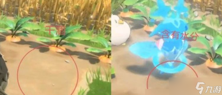 《蓝色星原旅谣》种菜玩法介绍