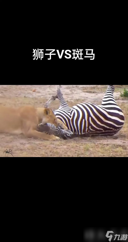 斑馬游戲攻略,斑馬熱點怎么玩，有玩過的嗎 