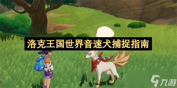 洛克王国世界音速犬捕捉指南