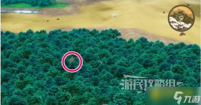 《勇者斗恶龙1重制版》多姆多拉旁边森林秘密地点位置图解-多姆多拉旁边森林隐藏宝箱位置