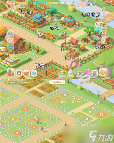 珍珠海大冒险珍珠海营地布局推荐