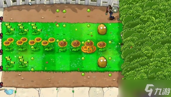 《植物大战僵尸重植版》无草皮之地打法思路