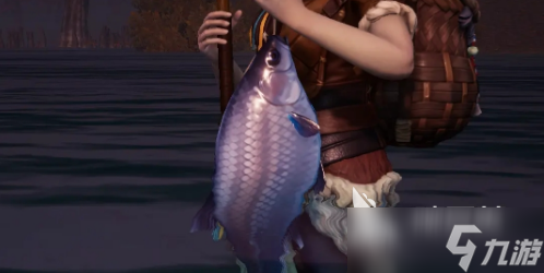 荒原曙光钓鱼攻略 荒原曙光怎么钓鱼