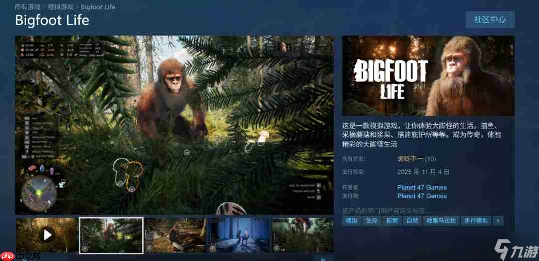 大腳怪模擬游戲《Bigfoot Life》現已登陸Steam