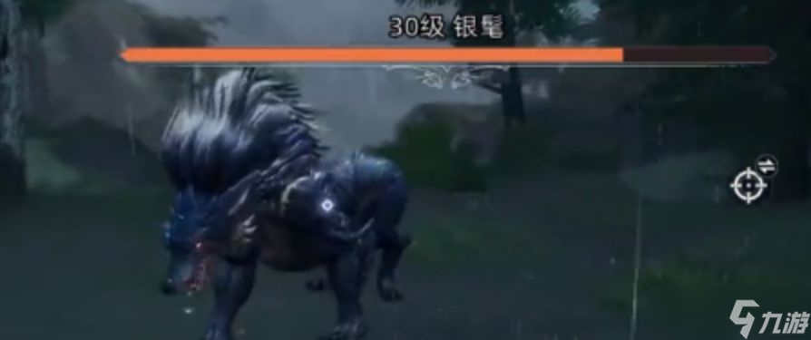 《荒原曙光》银鬓位置一览