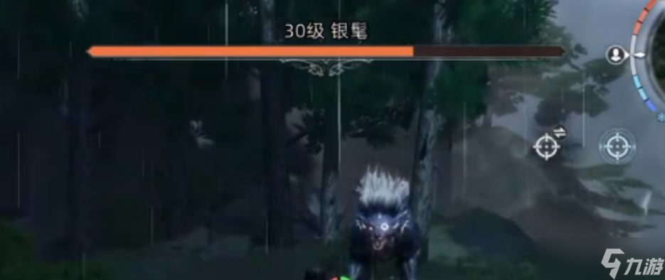 《荒原曙光》银鬓位置一览