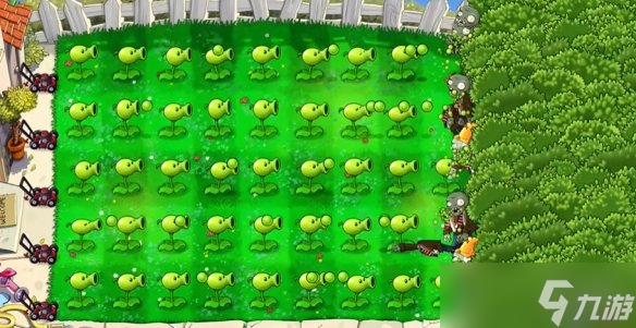 《植物大战僵尸重植版》全隐藏小游戏打法思路