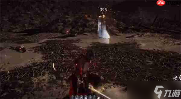 燕云十六声帷帽女怎么打