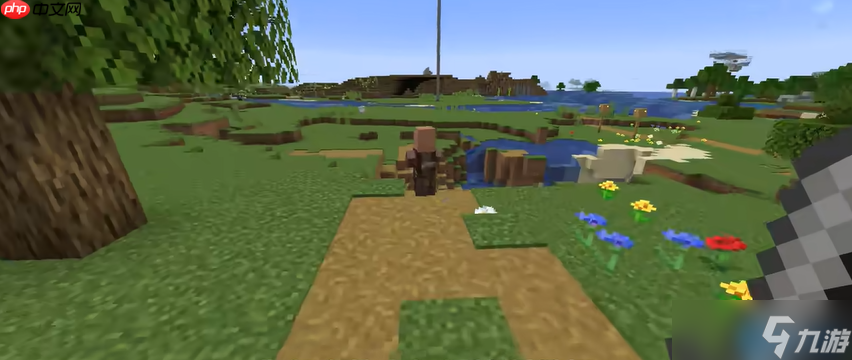 驯服村民有妙招 打造高效运转的村庄秘籍