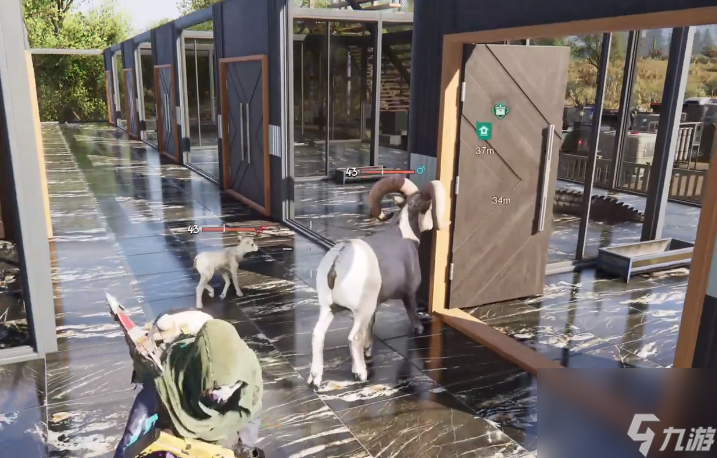 七日世界如何养殖动物