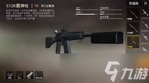 和平精英SS12中不能装消音的枪有什么