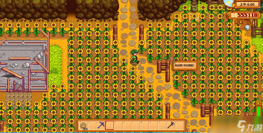 星露谷物语太阳花怎么获取