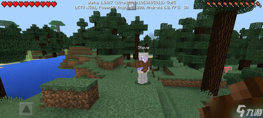 《我的世界》联机玩法大全 让游戏更有趣的多人联机模式 