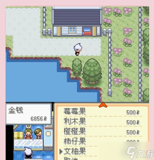 口袋妖怪中墙上小坑如何打开？需要哪些条件？