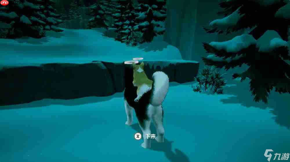 《我的小柯基》评测：献给所有爱狗人的童话