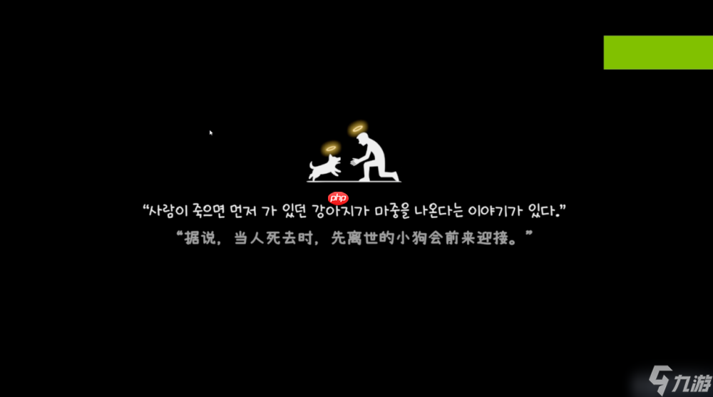 《我的小柯基》评测：献给所有爱狗人的童话