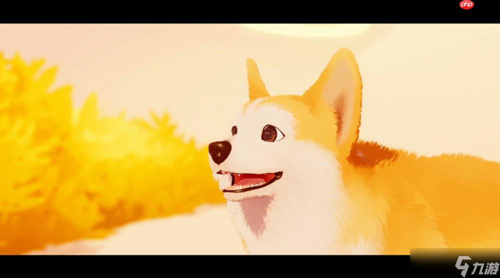《我的柯基小柯基》评测：献给所有爱狗人的童话