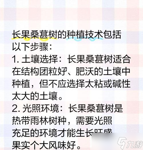 种大树的正确方法是什么？