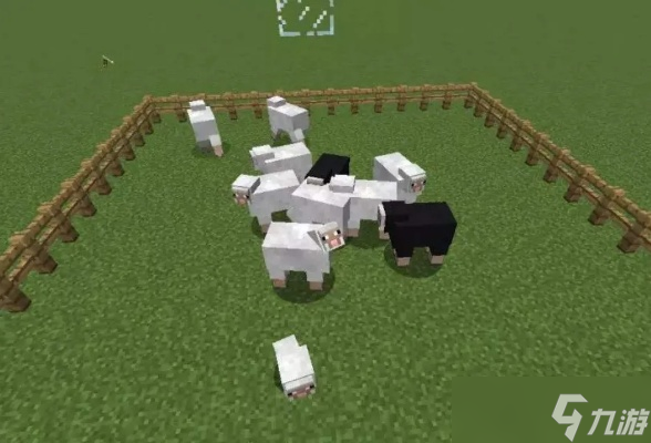 我的世界怎么养牛羊 从选址繁殖到高效管理全解析