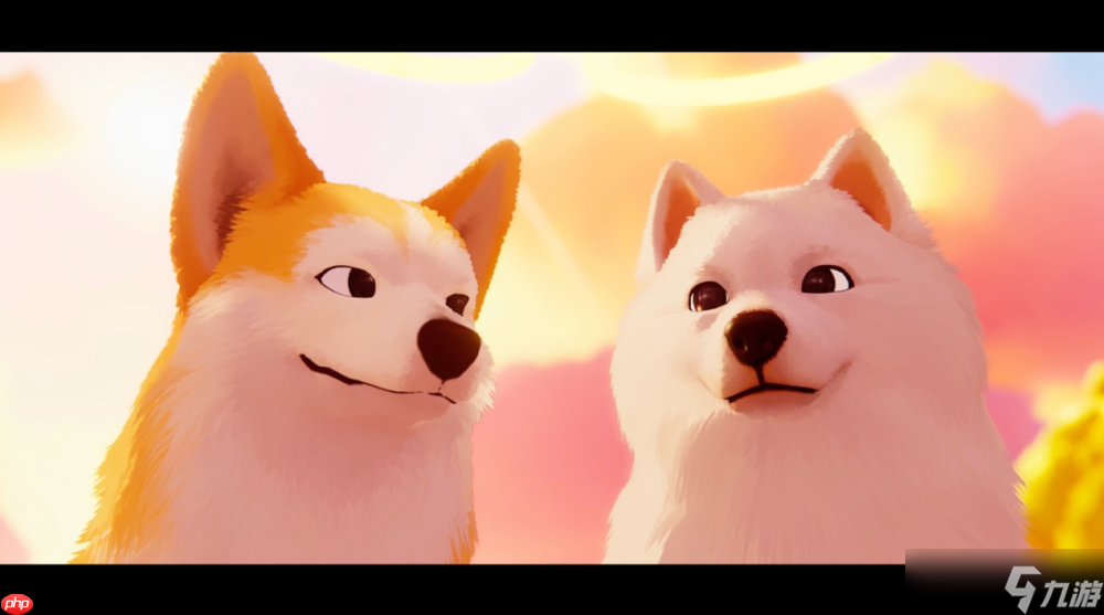 《我的小柯基》评测：献给所有爱狗人的童话