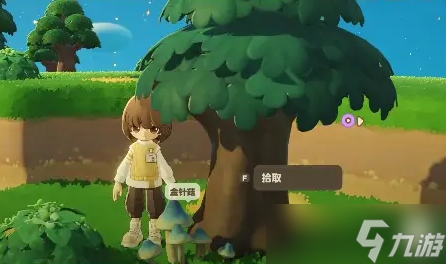 星布谷地五色阿奇宝的获取方式途径