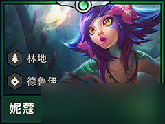 云顶之弈妮蔻出什么装备