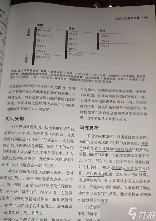 飞龙琉球战斗技巧有哪些?如何制定有效的攻击计划?