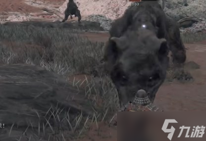 《艾尔登法环黄金树幽影》装备全收集攻略