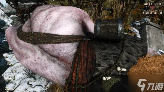 《巫师3》HD重制项目2026版公布！画面再进化！