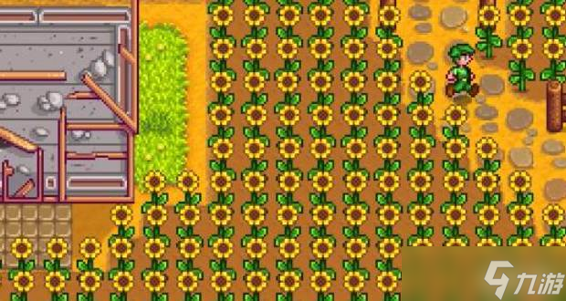 星露谷物语太阳花获取