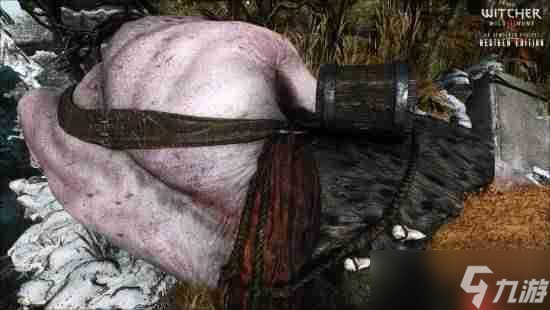 《巫师3》HD重制项目2026版公布！画面再进化！