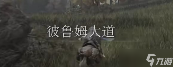 《艾尔登法环黄金树幽影》装备全收集攻略