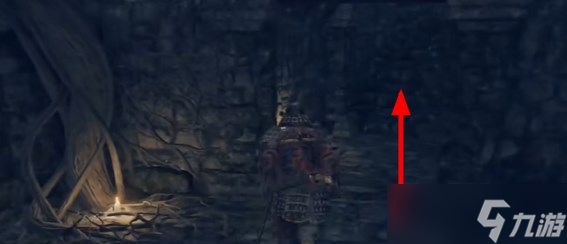 《艾尔登法环黄金树幽影》装备全收集攻略