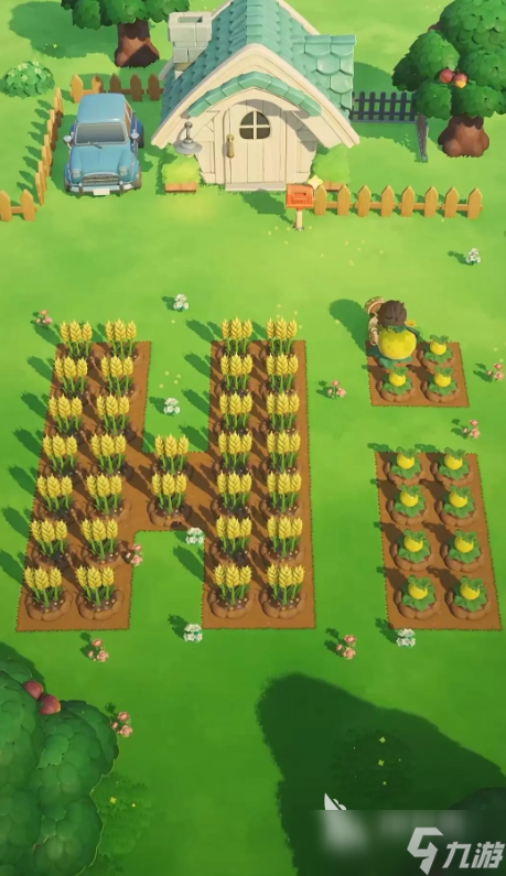 星布谷地零氪攻略 星布谷地新手攻略指南