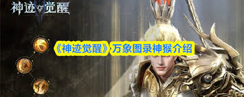 神迹觉醒神猴如何