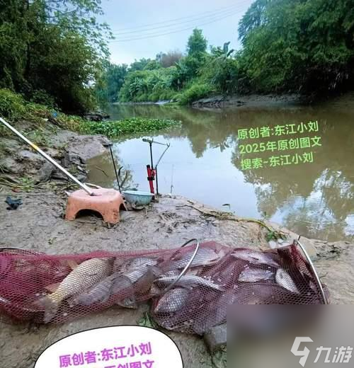 魔兽新鲜鲑鱼钓鱼地点？如何钓到新鲜鲑鱼？