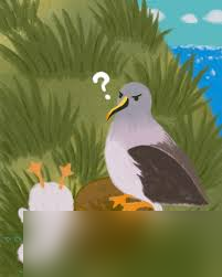 鹈鹕最大的特征是什么