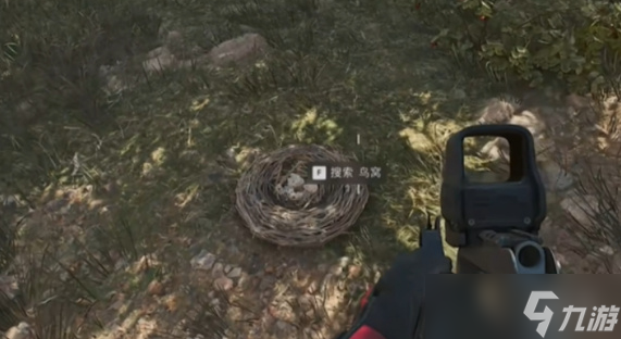 《三角洲行动》大坝鸟窝分布位置